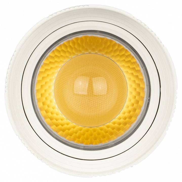 Светильник на штанге Эра  TR59 - 2040 WH