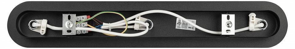 Спот ЭРА OL36-3 черный Б0056372