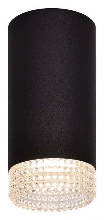 Светильник накладной ЭРА OL40 черный/прозрачный Б0058479