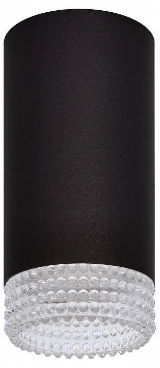 Светильник накладной ЭРА OL40 черный/прозрачный Б0058479