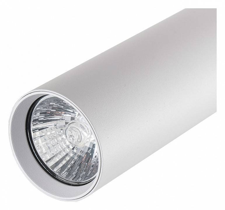 Светильник на штанге Escada 20001 2xE27 20001TRA/02 SWH