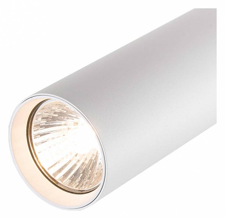 Светильник на штанге Escada 20001 2xE27 20001TRA/02 SWH