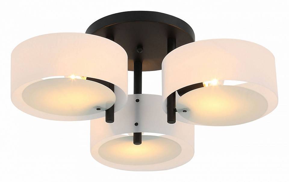 Потолочная люстра EVOLUCE Foresta 3 лампы SL483.402.03