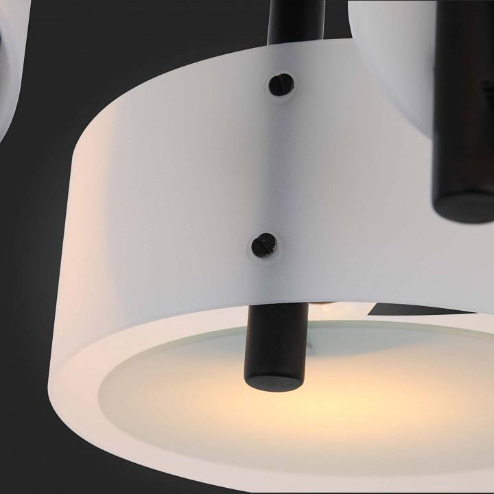 Потолочная люстра EVOLUCE Foresta 3 лампы SL483.402.03