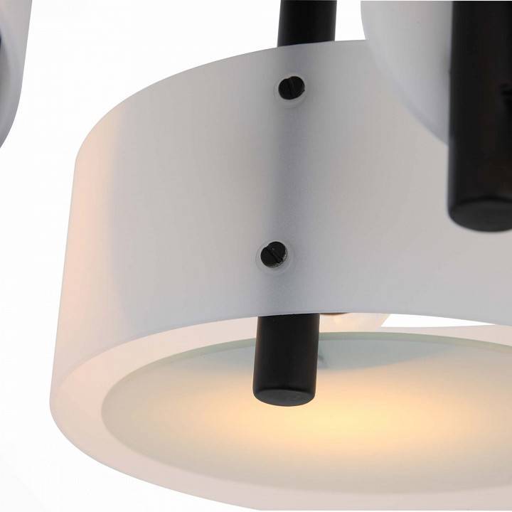 Потолочная люстра EVOLUCE Foresta 3 лампы SL483.402.03