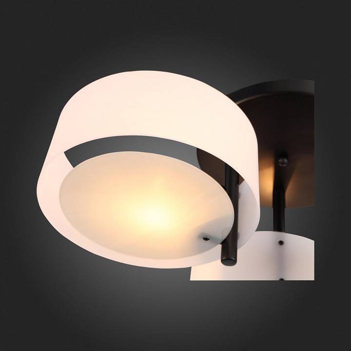 Потолочная люстра EVOLUCE Foresta 3 лампы SL483.402.03