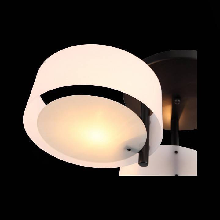 Потолочная люстра EVOLUCE Foresta 3 лампы SL483.402.03