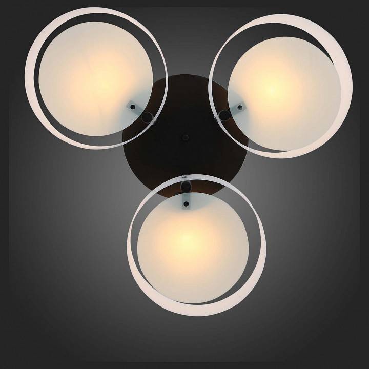 Потолочная люстра EVOLUCE Foresta 3 лампы SL483.402.03