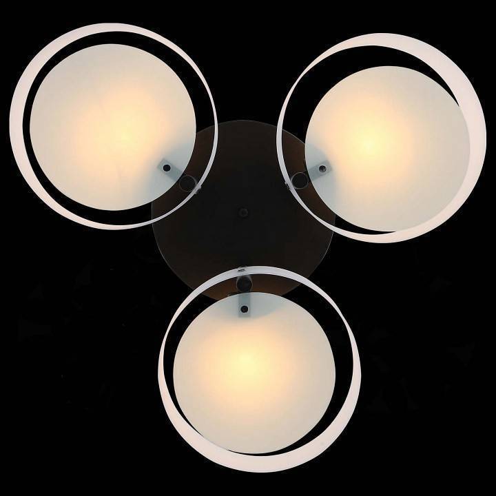 Потолочная люстра EVOLUCE Foresta 3 лампы SL483.402.03