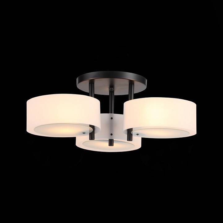 Потолочная люстра EVOLUCE Foresta 3 лампы SL483.402.03