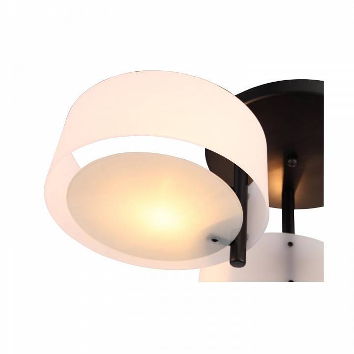 Потолочная люстра EVOLUCE Foresta 3 лампы SL483.402.03