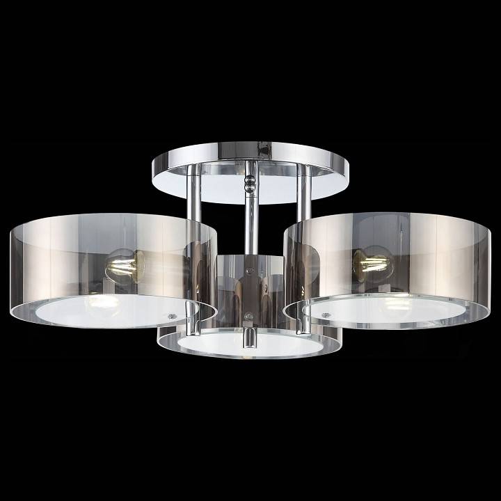 Накладной светильник EVOLUCE Foresta 3 x E14 SL483.702.03