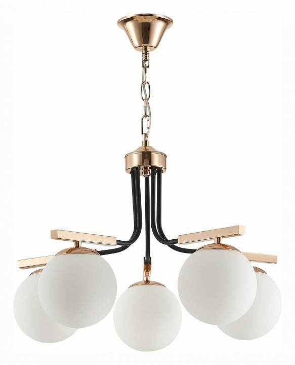 Подвесная люстра EVOLUCE Sonco 5 ламп SLE106803-05