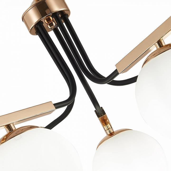 Подвесная люстра EVOLUCE Sonco 5 ламп SLE106803-05