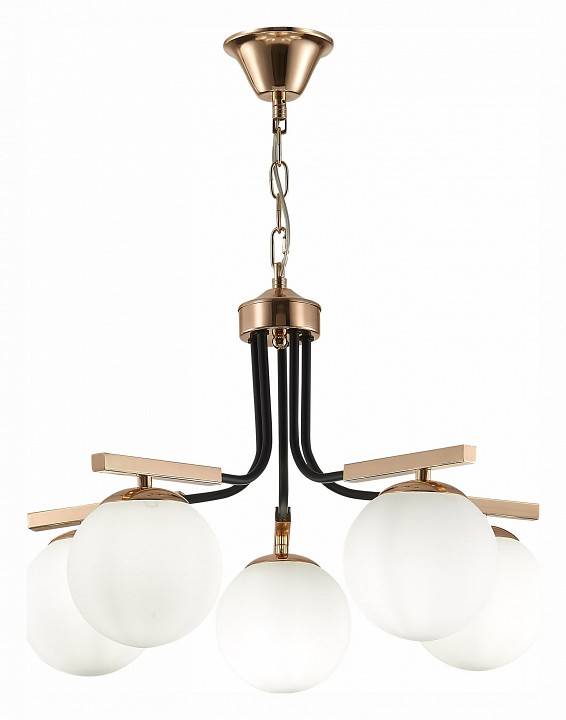 Подвесная люстра EVOLUCE Sonco 5 ламп SLE106803-05