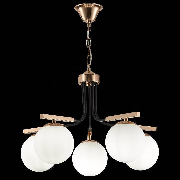 Подвесная люстра EVOLUCE Sonco 5 ламп SLE106803-05