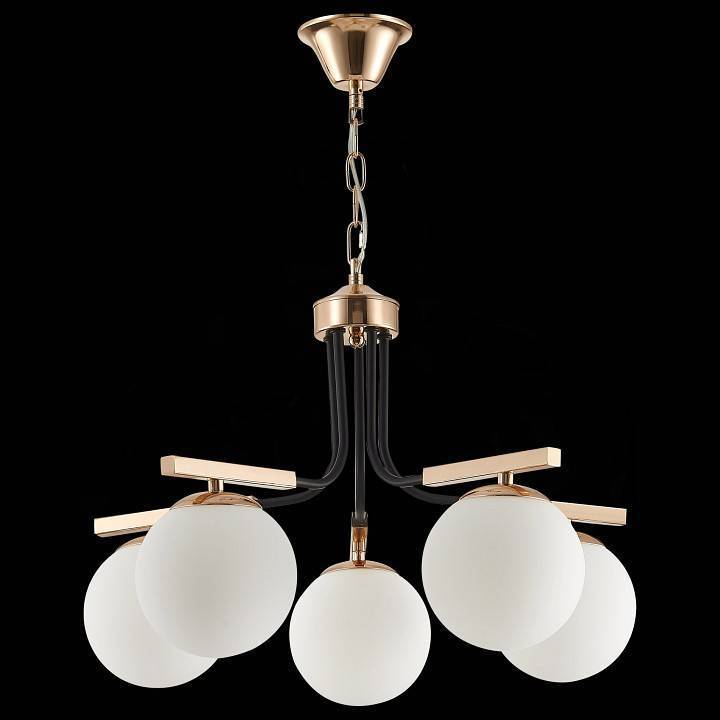 Подвесная люстра EVOLUCE Sonco 5 ламп SLE106803-05