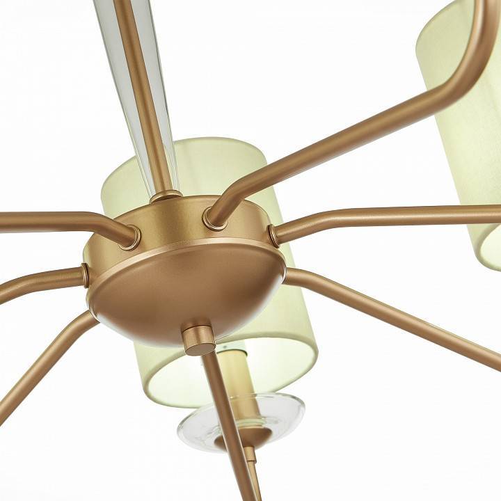 Люстра на штанге EVOLUCE Rita 7 ламп E14 SLE108002-07