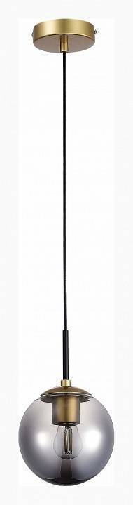 Подвесной светильник EVOLUCE Scorze SLE1097-303-01