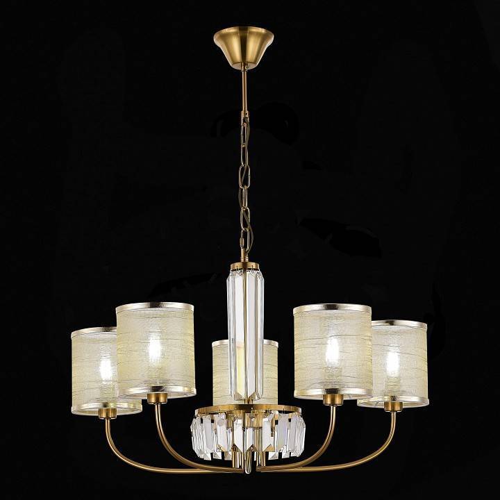 Подвесная люстра EVOLUCE Ellisse 5xE14 SLE1119-303-05