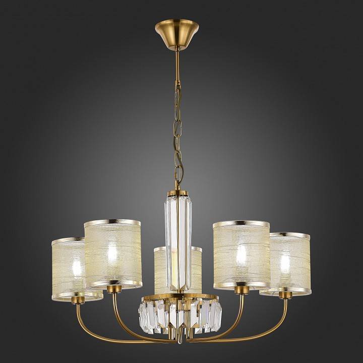 Подвесная люстра EVOLUCE Ellisse 5xE14 SLE1119-303-05