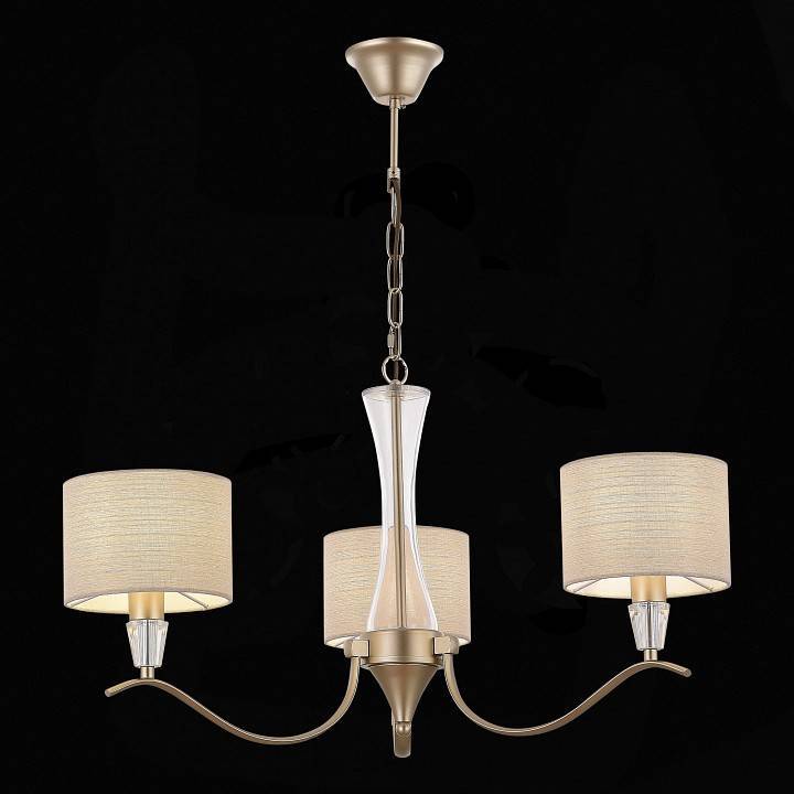 Подвесная люстра EVOLUCE Cassia 3xE14 SLE1126-203-03