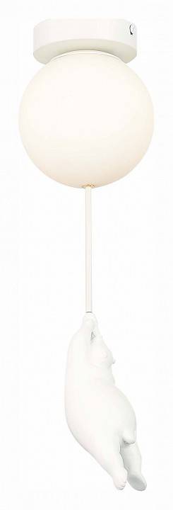 Накладной светильник EVOLUCE Modena SLE115402-01