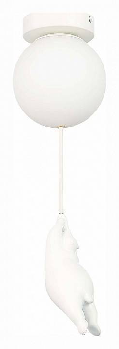 Накладной светильник EVOLUCE Modena SLE115402-01