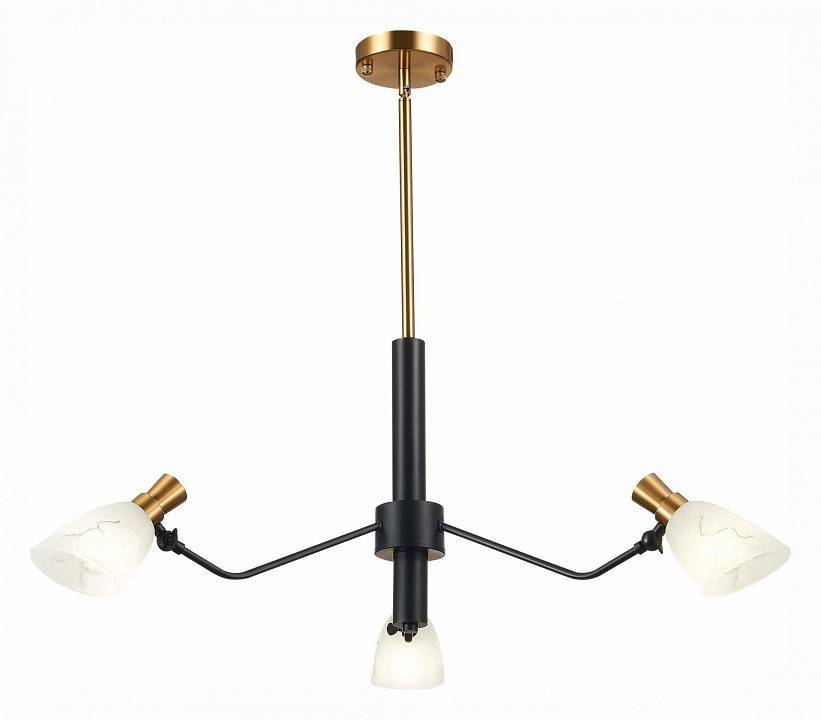 Люстра на штанге EVOLUCE Lita SLE205403-03