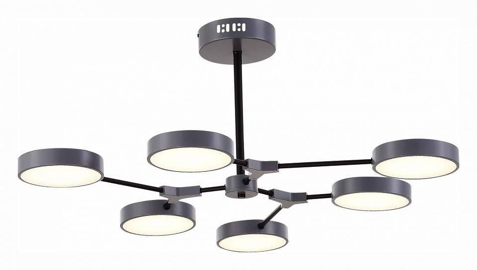 Люстра на штанге EVOLUCE Monta 6 LED SLE6003-702-06