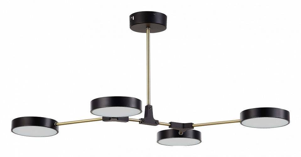 Люстра на штанге EVOLUCE Monta 4 LED SLE6004-402-04