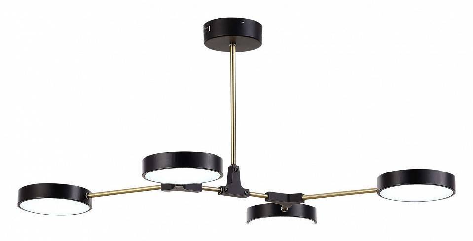 Люстра на штанге EVOLUCE Monta 4 LED SLE6004-402-04