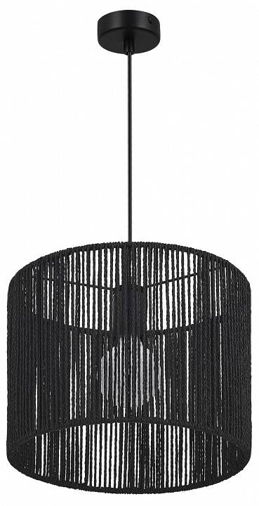 Подвесной светильник EVOLUCE ETTAN 1хE27 SLE6024-403-01