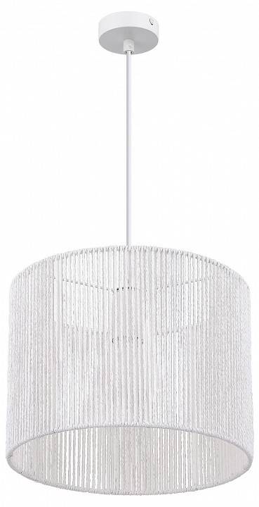 Подвесной светильник EVOLUCE ETTAN 1хE27 SLE6024-503-01