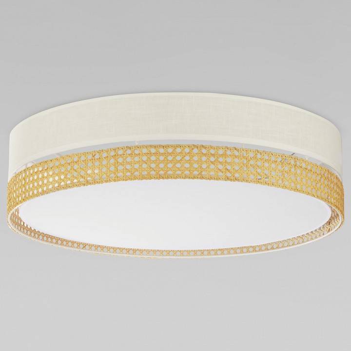 Накладной светильник TK Lighting Paglia 6691