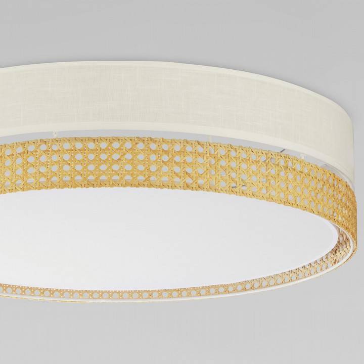 Накладной светильник TK Lighting Paglia 6691