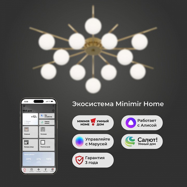 Потолочная люстра Eurosvet Sabina 302001/12