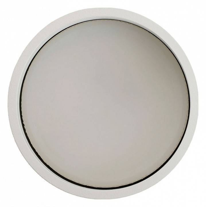 Накладной светильник Feron AL135 51124