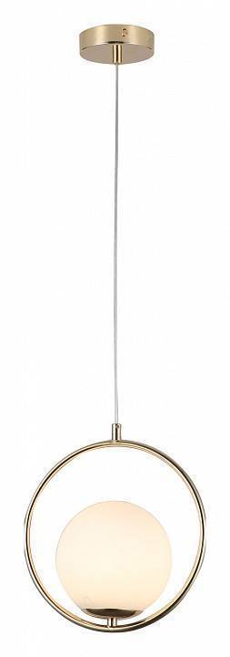 Подвесной светильник F-promo Oportet 2786-1P