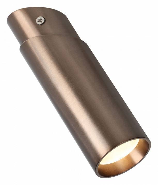 Накладной светильник Favourite Insuper 2798-1U