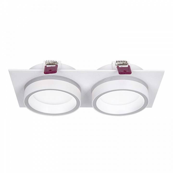 Встраиваемый светильник Favourite Vasto 4650-2C