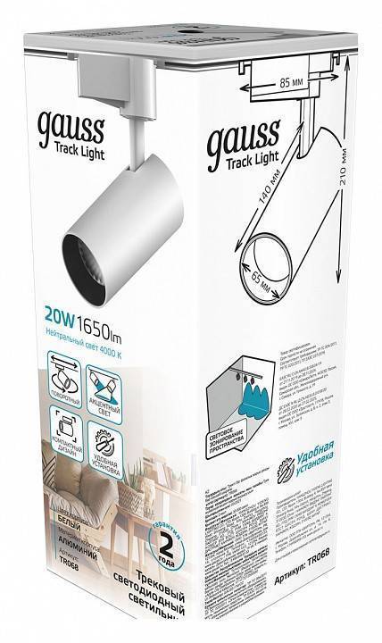 Светильник на штанге Gauss TR TR068