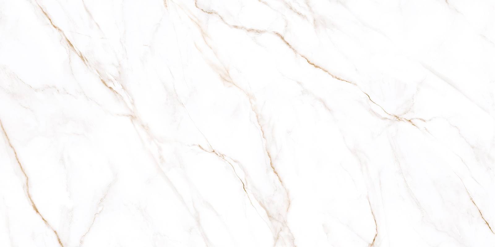 Керамогранит Grasaro Neo Calacatta матовый 600x1200x8.5 мм GFU60120NCL04R