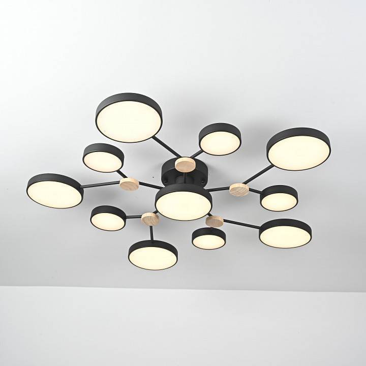 Потолочная люстра Imperiumloft GAMMA gamma01