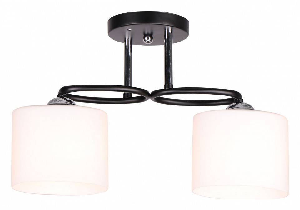 Светильник на штанге Imex MD.0617-2-S BK