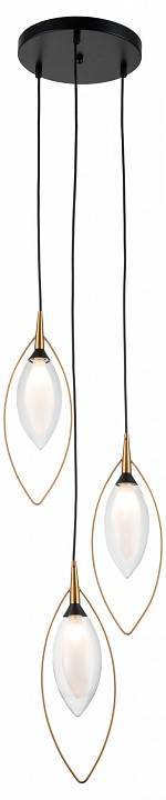 Подвесной светильник Indigo Fiore 13001/3P Black