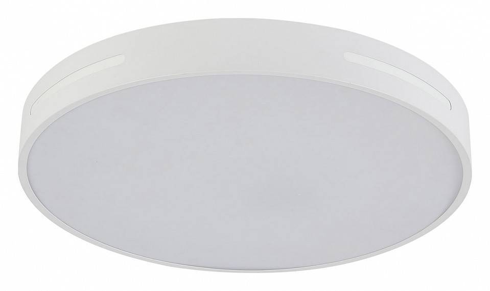 Светильник накладной Natali Kovaltseva Modern LED LAMPS 81332