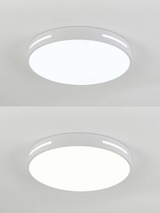 Светильник накладной Natali Kovaltseva Modern LED LAMPS 81332