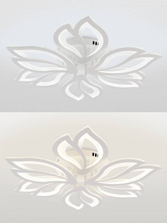 Потолочная люстра Natali Kovaltseva FORTUNA LED LAMPS 81107/6C