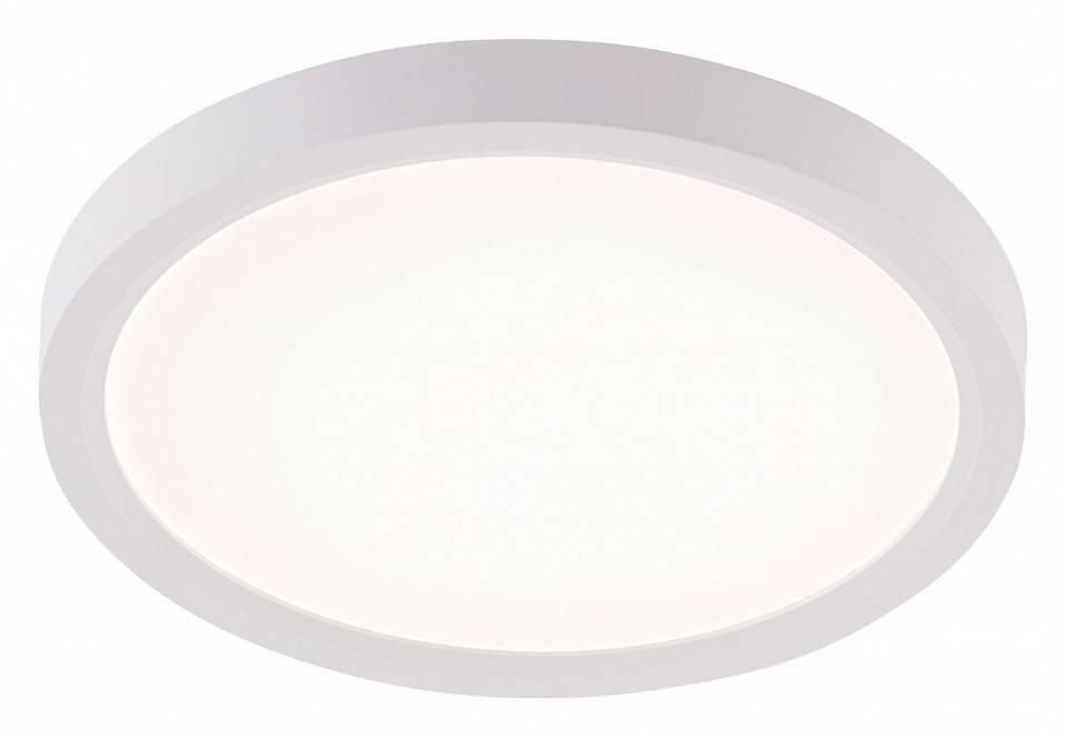 Светильник накладной Natali Kovaltseva Plain LED LAMPS 81113/1C